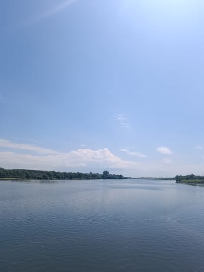 This is a wide-angle, eye-level, outdoor, daytime photograph taken from a body of water looking towards a distant tree line under a clear blue sky with scattered white clouds. The water in the foreground exhibits small ripples and reflects the sky. In the mid-ground, a dense line of trees extends across the horizon, with a slightly lighter, more distant tree line visible further back. The sky dominates the upper portion of the image, with faint wisps of clouds near the horizon.
The scene depicts a natural landscape, likely a river or a large lake, with abundant vegetation along the banks. The location is the Sava River in Šabac, Serbia, as indicated by the presence of the river, the dense tree line characteristic of its banks, and the overall landscape typical of the region. No people, animals, or man-made structures are clearly visible in the frame. The overall atmosphere is serene and tranquil.