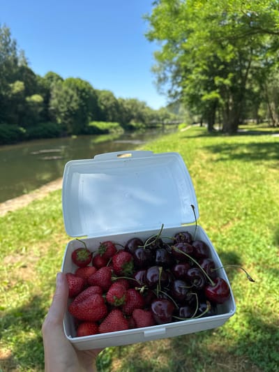 A hand holds a white plastic container filled with fresh cherries and strawberries. The container is positioned in the right half of the image, tilted slightly upwards. The cherries are a deep red, almost black, with some still attached to their stems. The strawberries are bright red and have visible seeds. The background is a blur of green grass, trees, and a body of water, suggesting an outdoor setting. The sky is a clear blue. The overall impression is one of a refreshing summer snack enjoyed outdoors. The image appears to have been taken in Ustroń, Poland, given the location context. The lighting suggests it's daytime, likely sunny. The scene conveys a sense of relaxation and enjoyment of nature's bounty. There is no visible text in the image.
