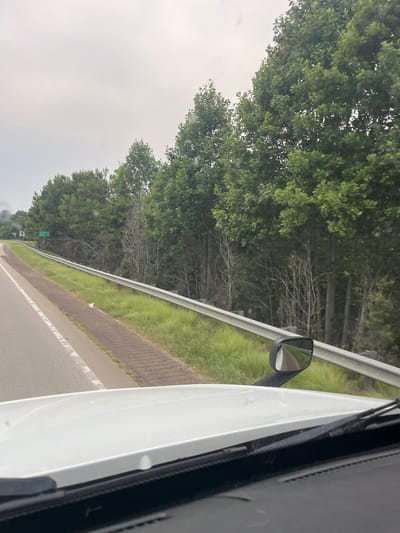 This is a photograph taken from the perspective of a driver in a white vehicle, possibly a truck, on a road. The road appears to be a highway or a major road, with a white dashed line marking the lanes. To the right of the road, there is a metal guardrail, and beyond that, a dense line of trees. The trees are a mix of evergreen and deciduous, with lush green foliage. The sky is overcast, suggesting a cloudy day. In the distance, there is a green road sign visible, which appears to indicate directions to "Arcade" and "Arcade." The overall environment suggests a rural or semi-rural setting, possibly in or near the city of Arcade, United States of America. The image is likely taken during daylight hours.
