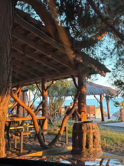 This image depicts an outdoor seating area at what appears to be a beachfront establishment in Pitsunda, Abkhazia. The scene is dominated by rustic, wooden structures, including a thatched-roof pavilion, picnic tables, and benches crafted from natural wood. The sun, low in the sky, casts warm, golden light across the scene, illuminating the textured surfaces of the wood and creating long shadows.
In the foreground, a large, barrel-shaped trash receptacle, also made of wood, is prominently featured. Behind it, a series of picnic tables and benches are arranged, some with people seated at them, although their features are indistinct due to the lighting and distance. The tables appear to be made of wood with dark metal legs.
Beyond the seating area, the scene opens up to reveal the sea, a calm expanse of blue water meeting the horizon. Along the shoreline, there are other thatched-roof structures, possibly additional seating areas or small kiosks, and palm trees. The ground is paved with stone or brick in the immediate vicinity of the seating, transitioning to grass and sand further away.
The overall atmosphere is one of a relaxed, seaside dining or lounging experience, with the natural materials and warm lighting contributing to a tranquil ambiance. The specific location within Pitsunda is likely a waterfront restaurant, cafe, or recreational area.