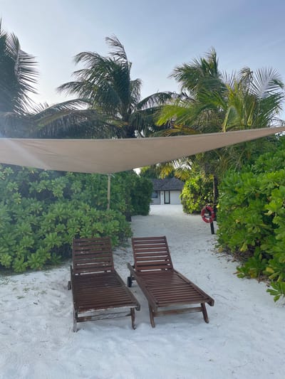 The image shows a tranquil beach scene in Thakandhoo, Maldives. Two empty wooden lounge chairs are positioned on a white sandy beach, facing a pathway lined with lush green tropical foliage. A beige canvas shade structure is suspended above the lounge chairs and foliage. In the background, a small white building with a dark roof is visible. A red life preserver ring is mounted on a post near the pathway. Palm trees tower over the scene, with their fronds gently swaying in the breeze under a clear, pale sky. The environment suggests a tropical resort or private beach setting.