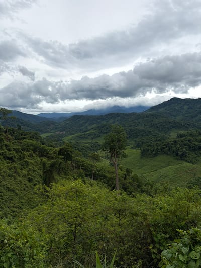 The image depicts a lush, mountainous landscape under a cloudy sky. The terrain is heavily forested with rolling hills and valleys. In the foreground, dense green foliage and trees dominate the view. The middle ground reveals terraced fields, suggesting agricultural activity, likely tea plantations given the region's known produce. The background features layers of mountains fading into the distance, with mist or clouds obscuring the highest peaks. The sky is overcast with heavy, gray clouds, indicating a possibility of rain or a generally diffused light. There are no people or man-made structures visible in the immediate scene, with the exception of the agricultural terraces, suggesting a remote and natural environment. The scene is typical of the highlands in Trường Sơn Commune, Vietnam, known for its verdant scenery and tea cultivation.