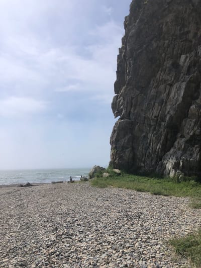 The image depicts a rocky beach with a large, dark cliff face dominating the right side of the frame. The cliff has a rugged texture with visible striations and crevices. At the base of the cliff, a patch of green grass is growing. The beach itself is covered in a multitude of smooth, grey pebbles. In the distance, the sea is visible, appearing somewhat hazy. There are a few pieces of driftwood scattered on the beach, including a larger log near the water's edge. The sky above is overcast with light clouds. The scene appears to be a natural landscape, likely along a coastline. The location is identified as Ola, Russia.