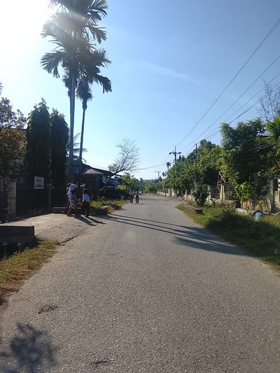 In Pohroh, Indonesia, a paved road stretches into the distance under a clear blue sky. Tall palm trees and dense foliage line the left side of the road, casting shadows on the asphalt. A group of children, dressed in school uniforms, walk along the sidewalk near a fence. Further down the road, more children can be seen walking in the same direction. The scene suggests a typical day in a residential or semi-rural area, with the children likely on their way to or from school. The environment is characterized by its tropical vegetation and the presence of overhead power lines, common in many Indonesian cities.