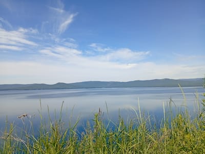 The image depicts a serene landscape of Lake Turgoyak, located in Russia. The foreground is dominated by lush green grasses and dried stalks of vegetation, suggesting a natural, undeveloped shoreline. Beyond the vegetation lies the expansive, calm surface of Lake Turgoyak, reflecting the clear blue sky above. The lake is bordered by a range of distant, rolling hills covered in dark green trees, creating a picturesque backdrop. The sky is a vibrant blue, with wispy white clouds scattered across it, indicative of a pleasant, sunny day. There are no people or man-made structures visible in the scene, emphasizing the natural beauty of the location.