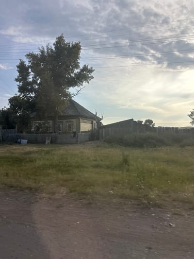A wooden house with a hip roof, painted light green with white trim, is partially obscured by a large tree in Novonikolayevka, Russia. The house has multiple windows, some with decorative shutters. A wooden fence surrounds the property, and a second, more dilapidated wooden structure is visible to the right of the house, also behind a fence. The foreground consists of a dirt road and a grassy field with scattered white flowers. Overhead, power lines stretch across a cloudy sky. The overall impression is one of a rural, somewhat weathered residential area.