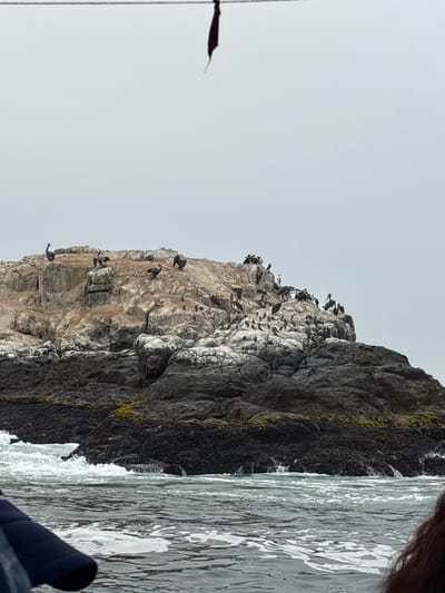 A vertical-oriented photograph captures a rocky coastal scene, likely taken from a boat near Ancón, Peru. A large, light grey rock formation, teeming with seabirds, dominates the left half of the frame. The birds are scattered across the rock's surface. The right side shows water. A small portion of a person's dark hair and part of a dark-colored item is visible at the top and bottom edges.