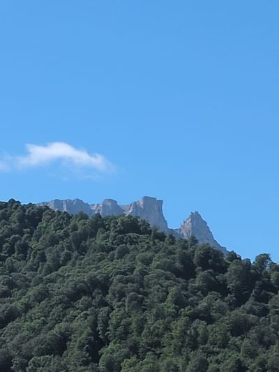 A wide shot captures a dense, dark green forest covering a steep hillside, with a jagged, rocky mountain range rising above it against a clear, bright blue sky. A single, wispy white cloud is visible in the upper left quadrant of the image. The mountain range features prominent, sharp peaks and a rugged, weathered appearance. The forest appears to be composed of deciduous trees. The scene suggests a natural, remote environment. No people or man-made structures are visible in the image. The lighting indicates it is daytime.