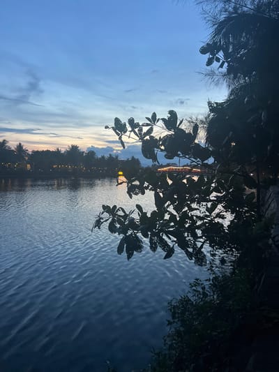 The image depicts a tranquil twilight scene by a body of water, likely a river or canal, in Hoi An, Vietnam. The orientation of the image is vertical. Silhouetted foliage, including leaves and palm fronds, frames the foreground, creating a natural border. Beyond the foliage, the water's surface is textured with gentle ripples, reflecting the dimming sky and distant lights.

Across the water, the opposite bank is lined with a row of buildings and palm trees, all silhouetted against the horizon. The buildings appear to be part of a resort or residential area, with warm lights visible through windows and along their facades, suggesting habitation and activity within. A long, narrow structure, possibly a bridge or pier, is faintly visible in the distance.

The sky transitions from a deep blue at the top to lighter hues of orange and yellow near the horizon, indicating the sun has recently set. Wispy clouds are scattered across the sky, adding depth and texture. The overall atmosphere is peaceful and serene, evoking a sense of calm and relaxation as day gives way to night. There is no visible text in the image.