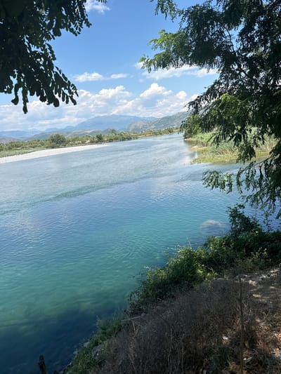The image depicts a serene natural scene with a wide river flowing through a valley. The water is a clear, vibrant blue, with gentle ripples on its surface. The riverbanks are lined with lush green vegetation and reeds, with a pathway of white stones running along one side. In the distance, majestic mountains rise, their peaks softened by a hazy, possibly summer, atmosphere. The sky above is a brilliant blue, dotted with fluffy white clouds, suggesting a pleasant, sunny day.
Framing the scene from the top and bottom left are the dark green leaves of trees, their branches creating a natural border and adding depth to the composition. The sunlight filters through the leaves, casting dappled shadows. On the right bank, the terrain becomes more rugged, with dry brush and scattered debris suggesting a less cultivated area. The overall mood is tranquil and picturesque, evoking a sense of peace and natural beauty. There is no visible text or discernible human activity within the frame.