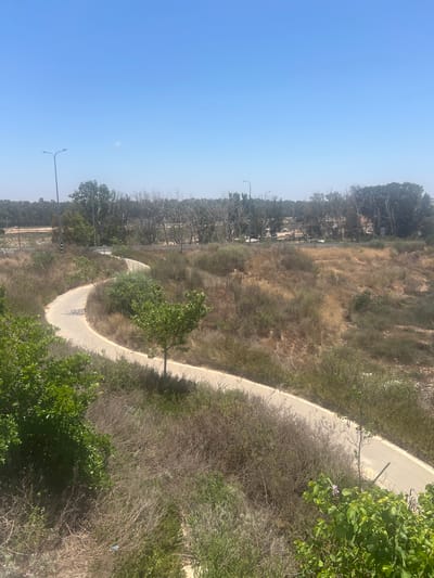 The image shows a scenic view of a park or natural reserve in Hadera, Israel. The foreground is dominated by lush green trees and bushes, with a paved pathway winding through the landscape. The pathway is light-colored and appears to be a walking or cycling path, curving gently into the distance. Beyond the pathway, the terrain is covered in dry, golden grass and sparse vegetation, suggesting a warm, dry climate.
In the background, a dense line of trees forms a backdrop against a clear blue sky. The sky is bright, indicating it is daytime, likely late morning or early afternoon, given the quality of light. There are no people visible in the image, suggesting the scene is serene and tranquil.
Notable details include streetlights positioned along the path in the distance, hinting at the presence of public amenities. A single purple flower is visible on a bush near the pathway, adding a touch of delicate color to the otherwise natural palette of greens and browns. The overall impression is one of a well-maintained natural area, offering a peaceful escape within an urban or suburban environment. The dry vegetation is characteristic of the Israeli climate, especially during warmer months. No text is visible in the image.