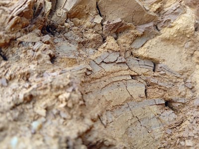 The image shows a close-up, detailed view of dry, cracked earth or soil. The texture is rough and uneven, with visible layers and fractured segments. The color palette consists of various shades of brown, beige, and light yellow, suggesting a dry, arid environment. There are no people, animals, or discernible man-made objects in the image. The focus is entirely on the geological or soil composition, highlighting its cracked and layered structure. The image appears to be a naturalistic depiction of the ground's surface.