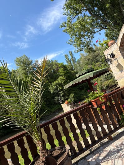 The image displays an outdoor terrace environment, presumably located in Zlati Voyvoda, Bulgaria. The scene is illuminated by bright sunlight under a clear blue sky with scattered wispy cirrus clouds.
In the foreground and mid-ground, a dark brown wooden railing with carved balusters extends horizontally, separating the immediate viewing area from a body of water. To the far right, a light-colored stone wall, constructed from irregular blocks, supports a black, vintage-style metal lantern and a terracotta pot containing red flowering plants. A rectangular planter with similar red flowers is positioned on the wooden railing.
A green, multi-scalloped umbrella structure is visible in the mid-ground, offering shade. Partially obscured by the railing and flowering plants, a person's head and shoulder are discernible beneath the umbrella, indicating a seated individual.
A small, potted palm-like plant with spiky fronds is situated in a wooden barrel planter in the lower-left foreground. Beyond the railing, a river or stream with murky green-brown water flows. The background consists of a dense forest of various deciduous trees, with a large, mature tree prominently featured on the upper right. The terrace ground is paved with light-colored, irregularly shaped flagstones or pavers, displaying distinct shadows cast by the railing, consistent with direct sunlight. No discernible actions or interactions are taking place beyond the implied presence of a seated individual.