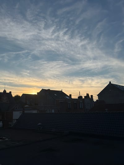 This media file is an outdoor, vertical photograph taken from a high vantage point, looking down at a street lined with buildings. The scene appears to be set in Turnhout, Belgium.

The subjects are primarily the rooftops of several buildings, characterized by their dark tiled roofs and brickwork. Some buildings have visible windows, and a few have chimneys. The buildings are packed closely together, suggesting an urban or town setting. There are no visible people or vehicles.

The activity taking place is implied by the setting; it's a view of a residential or commercial street.

Notable details include the time of day, which is clearly sunset or sunrise, given the warm, golden light illuminating the sky and casting long shadows. The sky is filled with wispy, streaky clouds, characteristic of certain atmospheric conditions. The weather appears to be clear, with the light suggesting a calm, pleasant evening or morning. The architecture of the buildings, with their pitched roofs and brick facades, could offer a clue to the location's style.

There is no visible text in the image. The overall emotion evoked by the image is one of peacefulness and a sense of twilight calm.
