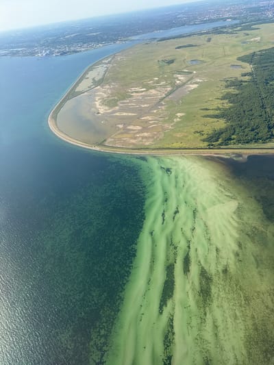 This aerial photograph captures a vast expanse of water and land. The scene is dominated by a large body of water, which transitions in color from a deep blue to a vibrant green. The green water appears shallower and is characterized by visible patterns of sandbars or submerged vegetation, creating a textured, almost painterly effect. A narrow strip of land runs along the edge of this green water, separating it from a larger, flat, green area. This larger landmass is dotted with numerous small ponds or pools of water, and appears to be mostly open grassland with some patches of darker vegetation, possibly trees or shrubs. A thin, light-colored line, likely a road or path, snakes across this grassy area. To the left of this landmass, a densely populated urban area with buildings and infrastructure is visible along the shoreline. In the distance, a line of trees forms a dark green border along the top edge of the land. The image appears to be taken from a high vantage point, suggesting it's an aerial or satellite view. The lighting suggests it's daytime, likely a sunny day given the bright colors and clear visibility. No people or specific objects are clearly discernible as subjects, with the focus being on the landscape and water. The overall impression is one of natural beauty and human development coexisting.