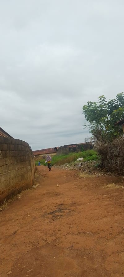 The image depicts a rural scene in Baissa, Nigeria. The foreground is dominated by a dusty, reddish-brown dirt path, suggesting a dry or seasonally dry environment. A rough, low wall made of concrete blocks lines the left side of the path, indicating a built-up area or a property boundary.

Further down the path, two figures are visible. One is a person, likely a woman, walking away from the camera. She is wearing a yellow garment and a patterned cloth draped over her head. She appears to be carrying something on her head, partially obscured by the cloth. In the distance, a smaller figure, possibly a child, is also walking on the path, facing the same direction.

The background features a collection of buildings with corrugated metal roofs, some appearing weathered and in disrepair. Vegetation, including a large tree with broad leaves and dry grasses, is interspersed between the structures and along the right side of the path. There are also piles of debris and trash visible, suggesting an area with informal waste disposal.

The sky is overcast with a layer of gray clouds, indicating a cloudy or potentially rainy day. The overall lighting is diffused, suggesting it is daytime, but the lack of direct sunlight implies it could be morning or late afternoon, or simply a heavily overcast day. The scene conveys a sense of everyday life in a rural or semi-urban Nigerian setting. There is no visible text in the image.