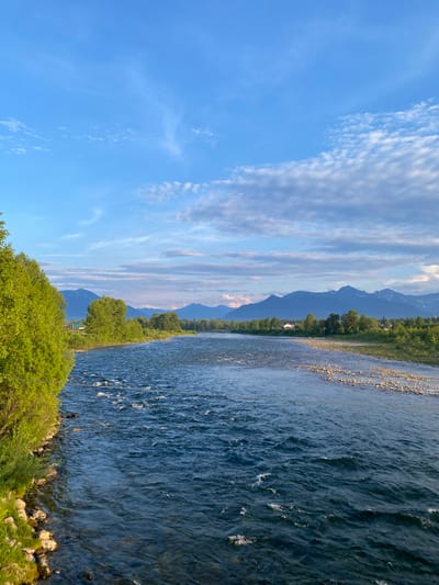 The image depicts a wide, fast-flowing river with turbulent water. Lush green trees line the left bank, with a rocky shoreline visible in places. The right bank features a more sparse, rocky riverbed and a line of trees. In the distance, a range of mountains forms the horizon, some with snow-capped peaks. The sky is a clear blue with scattered white clouds, tinged with the soft light of either early morning or late afternoon. The overall scene is natural and serene, with no visible signs of human activity in the immediate foreground. The location is identified as the city of Novosnezhnaya, Russia.