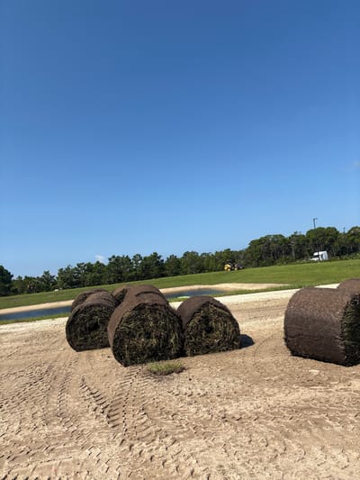 The image captures an outdoor scene with several large rolls of sod stacked on sandy ground, with tire tracks visible in the soil. In the background, a line of trees forms a backdrop against a clear blue sky. A white truck and a yellow piece of construction equipment are visible amidst the trees, suggesting an ongoing construction or landscaping project. The sun appears to be high in the sky, indicating it's likely midday. The overall setting appears to be a relatively flat, open area, possibly a field or a newly developed site. The presence of sod rolls implies that turf is being laid or prepared for installation. The environment appears to be warm and sunny, typical of a summer day in Florida. No people are clearly visible in the immediate foreground, but the equipment suggests human activity. The image is oriented vertically, with the sky occupying the left side and the ground and sod rolls on the right.