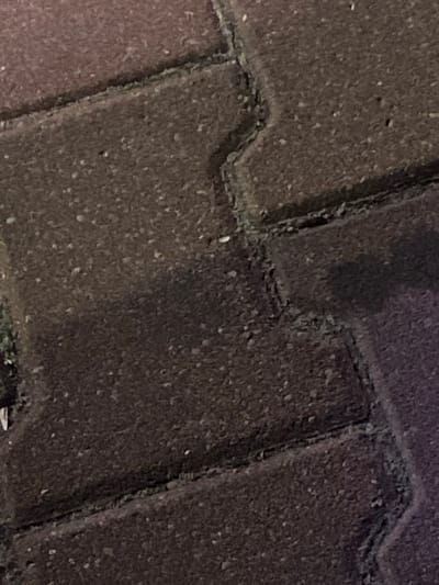 The image shows a close-up, overhead view of a dark-colored brick pathway in Terespol, Poland. The bricks are laid in a pattern with visible grout lines that are slightly uneven and worn. There are some small specks of lighter material, possibly dirt or sand, scattered across the surface of the bricks. A shadow is cast across the right side of the image, indicating an overhead light source. The overall scene is a typical outdoor urban pathway.