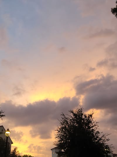 A nighttime exterior shot captures a sunset with hues of orange, pink, and purple filling the sky, with clouds dispersed throughout. In the lower left quadrant, a lit lamppost stands beside a building with architectural details suggestive of a courtyard or residential complex. In the lower right quadrant, another building is partially visible. Silhouetted trees frame the scene from the bottom edges. The image appears to have been taken in Winter Park, United States of America.