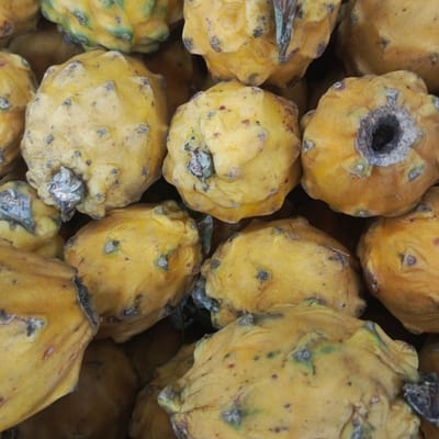 A close-up, overhead shot shows a pile of ripe yellow dragon fruits. The fruits are roughly spherical with prominent, scale-like protrusions that are greenish-yellow. Dark spots and speckles are scattered across the surfaces of the fruits, and some have hints of red or brown. The texture appears somewhat rough and bumpy. The lighting is even, creating soft shadows between the fruits. The scene is likely a market stall in Los Teques, Venezuela, given the context. No people are visible in the frame.