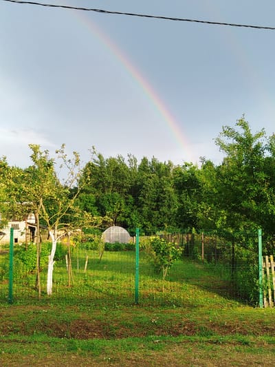 A pastoral scene unfolds under a pale, overcast sky where a faint rainbow arcs across the upper portion of the frame. A dark, thin wire stretches taut across the very top of the image. In the middle ground, a lush, green landscape is enclosed by a dark green wire fence. Within this fenced area, a small, domed greenhouse with a translucent material stands to the right of center. A young, leafy tree with thin branches is positioned in the left portion of the fenced yard, in front of a small building with a white-painted facade and a visible door. The building appears to be a modest, single-story structure with a window. Behind the greenhouse and the building, a dense line of dark green trees forms a natural backdrop. The foreground consists of a strip of dry, uneven ground, transitioning into a vibrant green, slightly patchy lawn. The image appears to be taken in a rural setting, possibly a garden or a smallholding in the Баравухскі сельскі Савет, Belarus. There are no people or animals visible in the frame.