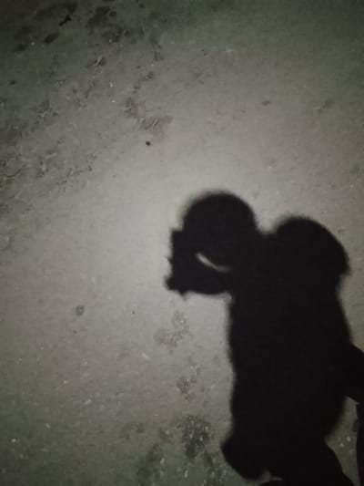 A shadow of a person is cast on a concrete surface in Rumuokwuta, Nigeria. The shadow depicts a figure with their head tilted downwards, with their left arm appearing to be bent at the elbow and their hand near their head. The surface is a dull, grey concrete with some dark spots and lighter patches, possibly indicating wear and tear or debris. The lighting suggests it is either dawn or dusk, or an overcast day, as there is a lack of strong, direct sunlight that would cast a sharp shadow. The overall impression is one of an ordinary urban environment.