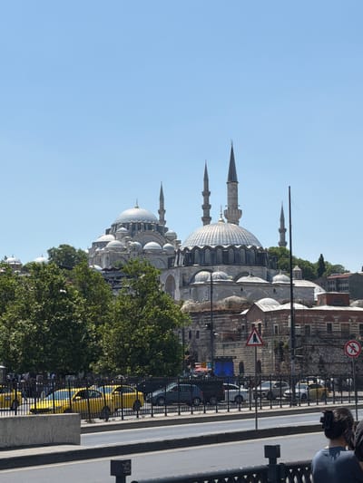 The image shows a wide view of the Süleymaniye Mosque in Fatih, Istanbul, Turkey, under a clear blue sky. The mosque's prominent domes and minarets dominate the upper portion of the frame, with several smaller domes and architectural elements visible around it. Lush green trees partially obscure the lower sections of the mosque and its surrounding complex. In the foreground, a street scene unfolds. A black metal fence separates the street from a sidewalk and a row of parked yellow taxis and other vehicles. Some people are visible walking behind the fence. A traffic sign depicting a pedestrian with a cane is visible on the right side of the image, along with another circular sign with a red border and a diagonal line through a person, likely indicating a "no entry" or "no walking" zone. The overall impression is a sunny day in a bustling urban environment with a magnificent historical landmark as the backdrop.