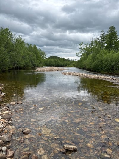 The image depicts a wide, clear river flowing through a wooded landscape under a cloudy sky. The riverbed is visible, covered with various sizes of rounded stones and pebbles. The water reflects the overcast sky and the surrounding greenery. Along the banks of the river, lush green trees and bushes form a dense forest. In the distance, rolling hills covered in trees are visible, suggesting a natural, undeveloped area. The scene is serene and natural, with no signs of human activity or structures. This natural setting is consistent with the undeveloped areas around Murtygit, Russia, which is known for its forests and rivers.
