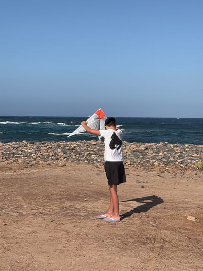 This image captures a young male individual standing on a dry, rocky shore beside the ocean in Antigua, Fuerteventura, Spain. The subject, viewed from behind and slightly to the left, is wearing a white short-sleeved t-shirt featuring a large black silhouette graphic of an animal (resembling a horse) on the back, black athletic shorts, and light blue and white flip-flops. He holds a white and orange delta-shaped kite with both hands raised above his head, with lines extending from the kite towards his right hand. The foreground consists of light brown, dry earth mixed with scattered dark and reddish-brown small stones. A band of larger, dark volcanic rocks forms the immediate shoreline at the water's edge. The ocean behind is deep blue with numerous visible whitecaps on the waves, extending to a clear horizon line. The sky above is uniformly clear and light blue, devoid of clouds. A distinct, elongated shadow of the individual and the kite is cast on the ground to the right of the subject.