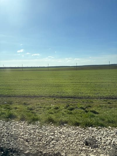 The scene depicts an expansive rural landscape in the vicinity of Senokos, Bulgaria, under a clear, bright blue sky with a few isolated white clouds. The top half of the image is dominated by the sky, exhibiting a bright solar glare in the upper left. A vast agricultural field, covered uniformly with low-growing green vegetation, occupies the midground. Approximately seven slender utility poles, fitted with overhead wires, extend horizontally across this field from left to right. The field terminates at a distant, dark green tree line that marks the horizon. Beyond the trees, the land appears to be a mix of darker, possibly fallow or tilled, ground. The immediate foreground consists of a band of light-colored, angular gravel stones, suggesting a roadside or track ballast, approximately 15% of the image height. Directly behind the gravel is a strip of unkempt green grass and brown earth, containing minimal white debris. No individuals, animals, or active subjects are present within the frame.