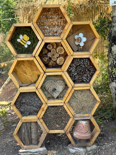 This image captures a meticulously crafted insect hotel, a hexagonal structure made of wooden frames, situated outdoors in Cavriglia, Italy. The hotel is designed with multiple compartments, each filled with materials intended to attract and shelter various insects.
The top row features a compartment filled with small, heart-shaped wooden pieces, inscribed with the word "CHIANTI". To its right, a white flower-shaped decoration with a central wooden dowel sits in a compartment backed with cork.
The second row displays a compartment filled with moss and a decorative yellow and black bee figure on the left. The central compartment contains numerous cross-sections of drilled wood pieces, likely for solitary bees. The rightmost compartment of this row is filled with pine cones.
The third row presents a large, empty hexagonal compartment on the left, with a rope coiled at the bottom. The central compartment contains a heart-shaped metal piece with cutouts, resting on moss. The right compartment of this row is filled with dried grass or hay.
The bottom row has a compartment on the left filled with rough tree bark. The central compartment is packed with hollow reeds or bamboo tubes, a common nesting material for insects. The rightmost compartment at the bottom houses an upside-down terracotta pot painted with a smiling snail.
The insect hotel is placed on a rocky base, surrounded by natural elements: dry ground, small plants, and the trunk of a large tree to the right. In the background, a fence made of dried bamboo stalks is visible. The lighting suggests it is daytime, with sunlight casting shadows. The overall scene conveys a dedication to nature and biodiversity.