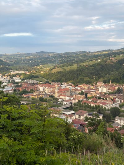 The image depicts a hillside view of a town, likely Santo Stefano Belbo, Italy. The town features buildings with reddish-brown rooftops, interspersed with greenery and trees. In the distance, a valley and a series of hills are visible under a cloudy sky. Green foliage is prominent in the foreground, obstructing some of the view. The photograph seems to have been taken from an elevated vantage point. The overall landscape suggests a rural or semi-rural setting with urban development. The composition is oriented vertically.