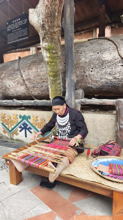 An elderly woman, wearing a black top, a black headband, and a prominent silver-colored traditional necklace, is seated on a wooden bench with a woven mat, engaged in weaving a vibrant, multi-colored textile on a portable loom. Her hands manipulate bamboo or wooden tools and the interwoven threads, creating intricate patterns with predominant pink, red, green, and gold hues. Her bare feet, covered in light hosiery, rest against a part of the loom, with black flat shoes positioned beneath the bench.
To her right, on the woven mat, rests a black and pink patterned woven bag, a red tool, and a round, shallow woven tray containing a blue and white tie-dye fabric piece and a smaller, colorful woven pouch.
The background features a concrete wall with geometric decorative patterns in yellow, green, and blue. Several large tree trunks or logs are visible, including a lighter-barked vertical trunk with mossy patches and a substantial dark, horizontal log with visible borings. Above and to the left, a black rectangular sign with white text in Chinese and English identifies "Antiaris Toxicaria" (Poison Arrow Tree), mentioning its use by the Li people. The overhead structure is dimly visible, suggesting an enclosed or covered area. The ground consists of a mixture of grey paving stones and reddish-brown tiles. This scene takes place in Jiyang District, China.