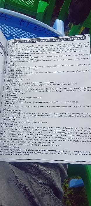 The image depicts an outdoor scene in the city of Esise ward, Kenya. The central focus is an open document, clearly titled "EULOGY OF MZEE ANDREW NYABERI NYANGOYA," resting on the lap of an unidentified individual. The person's lower torso and legs, clad in dark trousers, are visible, indicating they are seated. Partially visible objects in the upper frame include a tilted blue plastic chair and a light-colored surface to the left, and a tilted green plastic chair to the right. The background features green foliage, consistent with a natural outdoor environment. The scene suggests a gathering, likely a funeral or memorial service, with the document being actively viewed or presented.