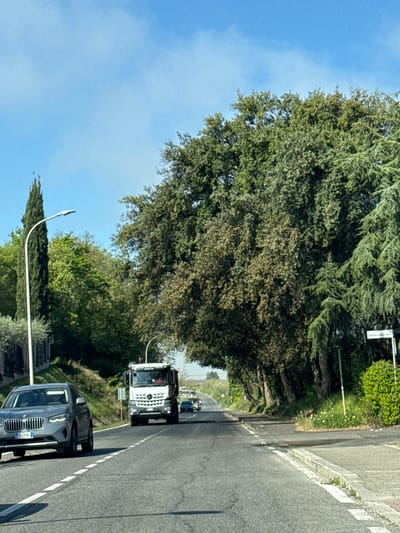 The image depicts a street scene in Cisterna di Latina, Italy. The view is from the side of a road lined with lush green trees. The sky above is blue with a few clouds. A silver BMW SUV and a white Mercedes-Benz truck are traveling on the road. A street sign, "Santa Caterina", is visible on the side of the road. A lamppost stands along the edge of the road, near some trees and shrubbery.