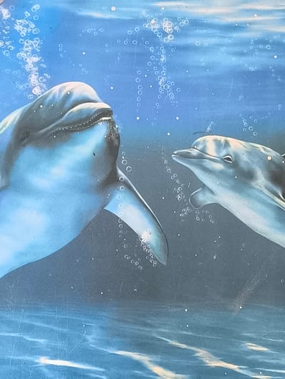 Two dolphins swim in a blue ocean. The dolphin on the left is larger and closer to the viewer, with its head tilted upwards and its mouth open, revealing sharp teeth. Bubbles stream from its mouth. The dolphin on the right is smaller and further away, facing left with its head slightly down. The water is filled with small bubbles and light rays filter down from above, illuminating the scene. The bottom of the image depicts the wavy surface of the ocean floor. The image appears to be a painting or illustration. There is no information provided about the location in the city of Dobrogea Veche, Moldova.