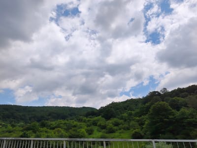 The image depicts a lush, forested hillside under a cloudy sky. A white railing is visible in the foreground, suggesting the perspective is from a bridge or elevated platform. The hillside is covered with dense, green trees, indicating a natural, possibly rural or park-like setting. The sky above is a mix of white and gray clouds with patches of blue visible, suggesting fair weather with some cloud cover. The location is identified as Golemo Buchino, Bulgaria, a village known for its natural surroundings and forests. There are no people or animals visible in the image. The overall scene conveys a sense of natural beauty and tranquility.