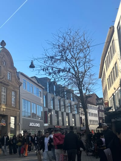 The image shows a street scene in Osnabrück, Germany, with a mix of architectural styles visible on the buildings. A bare tree with numerous shoes hanging from its branches is a prominent feature. The sky is blue, and a contrail can be seen. Several stores are visible, including Woolworth, Jack & Jones, dm, Unkemöller, L&T, and Kol. Pedestrians populate the sidewalk.