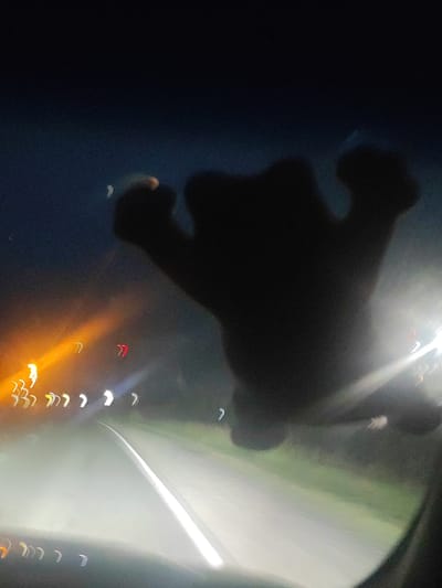 The image, taken in the city of Kryvdanivka, Russia, presents a blurred, nocturnal scene viewed from inside a vehicle. A dark, silhouetted shape, possibly a hand or an object with rounded appendages, is visible against a dark sky, partially obscuring the view ahead. Streaks of light, indicative of car headlights and streetlights, create a bokeh effect on what appears to be a road or highway. The foreground is dominated by reflections and distortions on the vehicle's windshield, with indistinct shapes of lights and the road surface visible. The overall impression is one of motion and low light conditions, with limited detail and clarity.