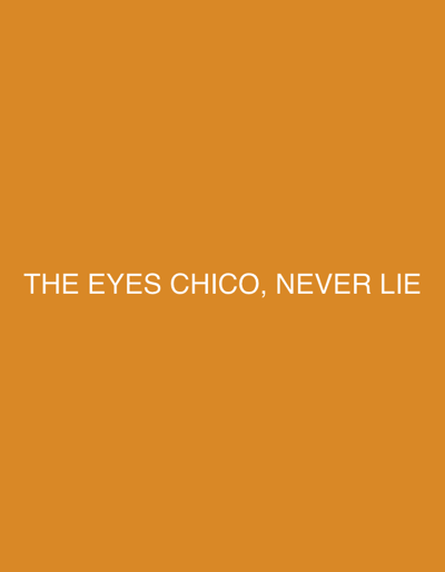 This is a media file with a plain, solid orange background. Centered on the background is white text that reads "THE EYES CHICO, NEVER LIE". There are no other discernible subjects, activities, or notable details in the image. The location context of Giengen an der Brenz, Germany is not visually represented in the image.