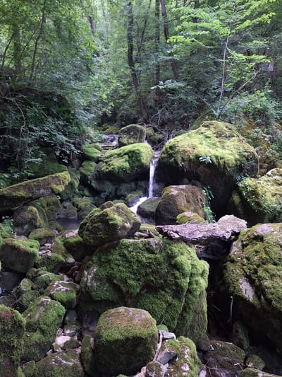 The image depicts a small waterfall cascading over moss-covered rocks in a forested area in Zasele, Bulgaria. The vegetation is lush and green. Moss covers many of the rocks in the surrounding area. A small stream of water is visible flowing down the rockface.