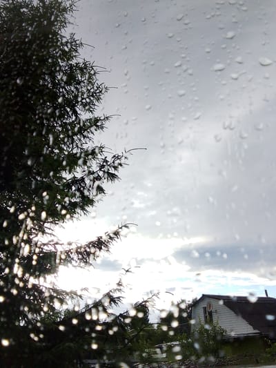 The image shows a view through a rain-streaked window. On the left, a large evergreen tree dominates the foreground, its dark needles partially obscured by water droplets on the glass. The sun is visible through the branches, creating bright highlights and a somewhat hazy effect. In the background, a white house with a dark roof is visible. The house has a satellite dish mounted on its side and is surrounded by green foliage. The sky is cloudy, with patches of brighter light suggesting the sun's presence behind the clouds. The overall scene conveys a sense of a rainy day in a rural or suburban setting. The time of day appears to be daytime, given the sunlight. The weather is clearly rainy, as evidenced by the water droplets on the window and the cloudy sky. The presence of the house and vegetation suggests an outdoor environment. No people are visible. There is no visible text in the image.