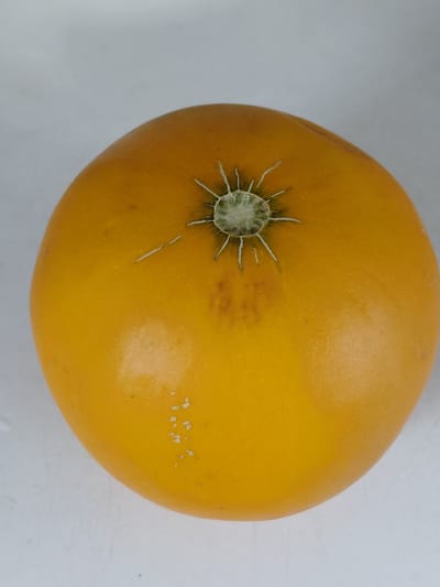 This media file is a close-up, top-down shot of a ripe cantaloupe melon. The melon is round and has a vibrant, uniform orange rind. At the top of the melon, the stem area is visible, characterized by a star-shaped pattern of light green and white fibers. There are a few faint brown spots and some lighter, textured patches on the rind, suggesting the natural variations and markings of the fruit. The background is a plain, light gray surface, likely a table or countertop, which provides a neutral setting that emphasizes the melon. There are no people, text, or specific location cues visible in the image, other than the general context provided. The lighting appears to be soft and diffused, likely from an overhead source, illuminating the fruit evenly. The image focuses solely on the fruit, highlighting its texture and color.