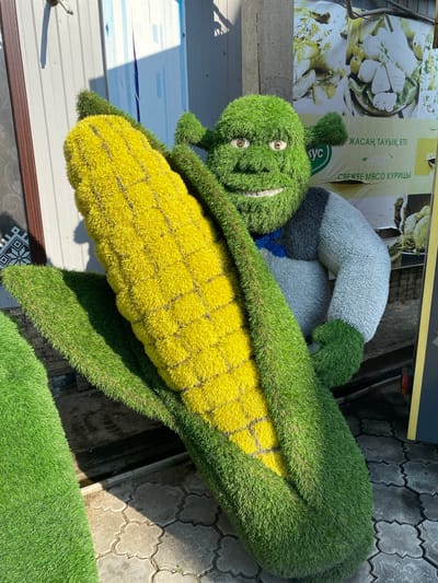 This media file features a whimsical topiary sculpture resembling a cartoon character, possibly Shrek, made of artificial grass. The character has a large, green, corn-shaped body with yellow kernels indicated by dark lines. Its head is round and green, with two round, brown eyes and a wide, smiling mouth. The character is wearing a blue shirt and a gray and black striped body. The sculpture is positioned outdoors, with a paved ground composed of decorative gray tiles. In the background, a banner with images of food and text in a foreign language is visible. The text appears to be in Cyrillic script and reads "ЖАСАН, ТАУЫҚ ЕТІ" and "СВЕЖЕЕ МЯСО КУРИЦЫ," which translates to "Artificial, Chicken Meat" and "Fresh Chicken Meat." The scene is illuminated by bright sunlight, casting shadows on the ground and highlighting the textures of the grass and tiles. The overall impression is one of cheerful outdoor decoration, possibly in a public space or park in the Бескөл ауылдық округі, Kazakhstan. The time of day appears to be sunny, suggesting pleasant weather.