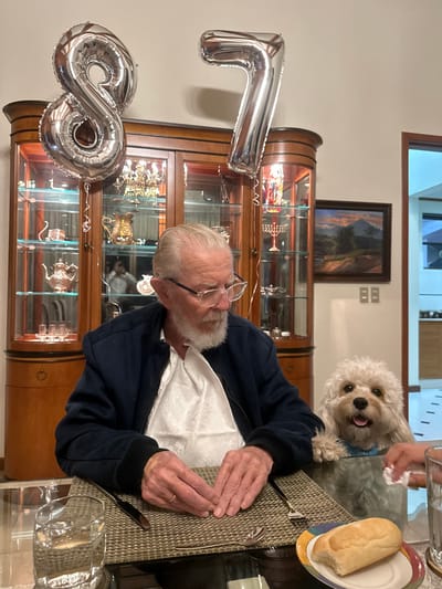An elderly man in a blue jacket and glasses sits at a table set with cutlery and a bread roll. Behind him is a light-colored fluffy dog with its paws on the table. Silver number balloons, shaped as "1" and "8," are visible beside him, suggesting a birthday celebration. A wooden display cabinet filled with silver items stands in the background, along with a framed painting.