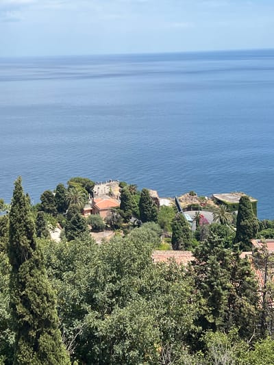 The image depicts a scenic view of the Mediterranean Sea from a clifftop in Taormina, Italy. The vast, deep blue water stretches across the left side of the frame, with gentle ripples indicating a calm day. On the right, a densely vegetated hillside slopes down towards the sea.

Various buildings and structures are nestled among the lush greenery. One building features a terracotta-tiled roof and appears to be a villa or residence. A winding road is visible, lined with trees and flowering plants, suggesting a residential or tourist area. There are also glimpses of what appear to be remnants of older structures or ruins integrated into the landscape.

The vegetation is a mix of coniferous trees, palm trees, and other broadleaf plants, characteristic of the Mediterranean climate. The sunlight suggests it is daytime, likely midday or afternoon, casting clear shadows and highlighting the vibrant colors of the foliage and the sea. The overall impression is one of a tranquil and picturesque coastal environment, popular for its natural beauty and historical architecture. No people are visible in the image, and there is no visible text.