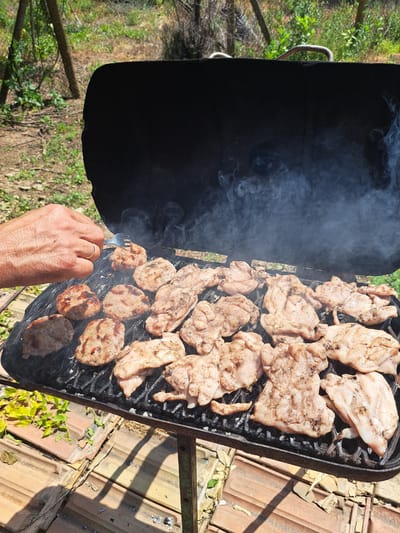 The image shows a close-up, overhead view of chicken pieces and meatballs being grilled on a barbecue. The chicken pieces, appearing to be thighs, are arranged on the top right of the grill, some showing slight browning. Below them, on the left side of the grill, are several round meatballs, some of which are more browned than the chicken. A fork is visible in the foreground, held by a person's hand, reaching towards the meatballs. Wisps of smoke rise from the grill, obscuring some of the food and the dark interior of the barbecue lid on the left.
The setting appears to be outdoors, with green foliage and dry ground visible in the background. The presence of a barbecue suggests an outdoor cooking event, possibly a meal preparation or a social gathering. The lighting indicates it is daytime, with sunlight casting shadows. The ground is covered with scattered red tiles and some greenery, possibly indicating a patio or garden area. The overall impression is one of a casual, outdoor cooking activity. No text is visible in the image.
