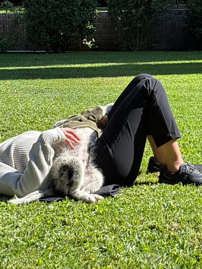 In an outdoor setting in San Juan del Río, Mexico, a person is partially visible lying on their back on vibrant green grass, with knees bent and feet flat, wearing black athletic pants and black ON Cloud brand sneakers. Their torso is clad in a light-colored ribbed knit sweater, and a hand rests on the belly of a small to medium-sized dog. The dog, with shaggy grey and white fur, is lying on its back with its abdomen exposed, positioned between the person's legs, appearing relaxed on a dark fabric surface. The background features a low, dark-toned block wall topped with dense green foliage and trees, illuminated by bright sunlight.