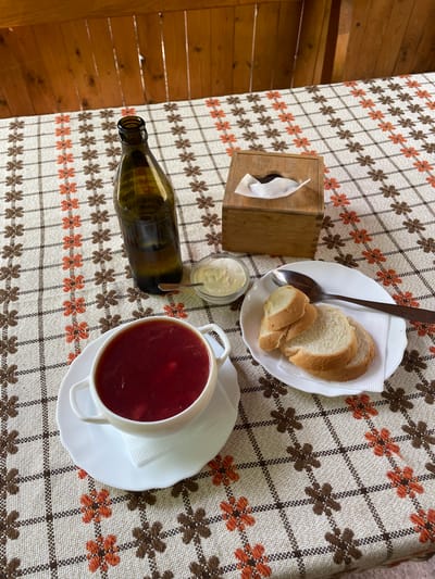 A high-angle shot captures a rustic tabletop meal set against a wooden background, likely in Kamianytsia, Ukraine. The central focus is a white bowl filled with a rich, dark red soup, characteristic of borscht, resting on a matching saucer. Beside it, a small glass contains a dollop of white cream, presumably sour cream or smetana, with a small spoon.
To the left, a dark green bottle lies horizontally on the tablecloth. Partially visible Cyrillic text on the bottle clearly shows the word "НАПІЙ," meaning "beverage" or "drink." Further up, a white plate holds several slices of white bread, accompanied by a silver spoon. A wooden tissue box with a single white tissue protruding from it is positioned near the bread.
The table is covered by a textured beige and white tablecloth featuring a distinctive pattern of brown and orange floral motifs arranged in a grid-like fashion, reminiscent of traditional folk design. The edges of the table and the background reveal warm-toned wooden planks, suggesting a cozy, possibly outdoor or cabin-like setting. The natural lighting indicates it is daytime. The overall impression is a simple, traditional meal, perhaps lunch or dinner, served in a relaxed environment consistent with the Ukrainian context.